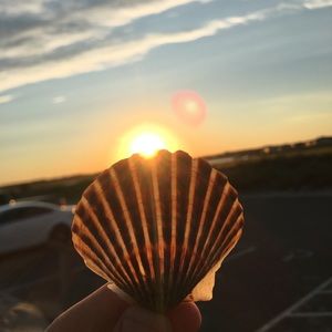 Meet your Posher, Molly